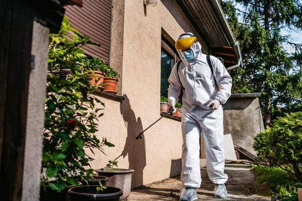 Best Exterminator Services  in Grayling, MI