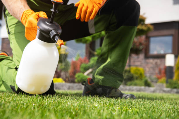 Best Flea Control Services  in Grayling, MI