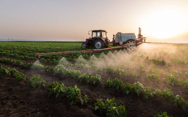 Best Mosquito Control Services  in Grayling, MI