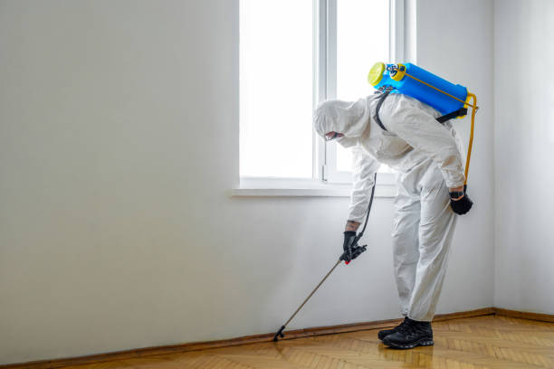 Best Mosquito Control Services  in Grayling, MI
