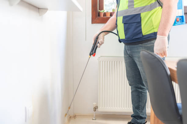 Best Wasp Removal Services  in Grayling, MI