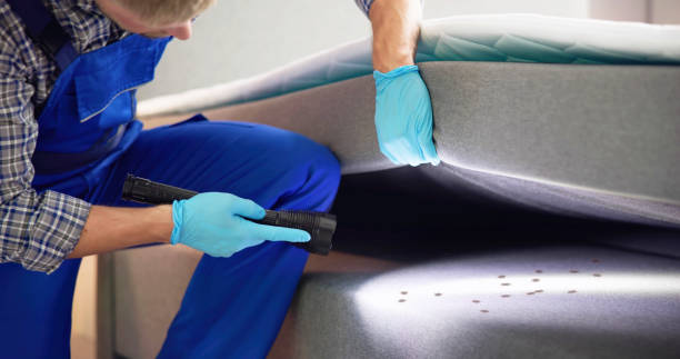 Best Flea Control Services  in Grayling, MI