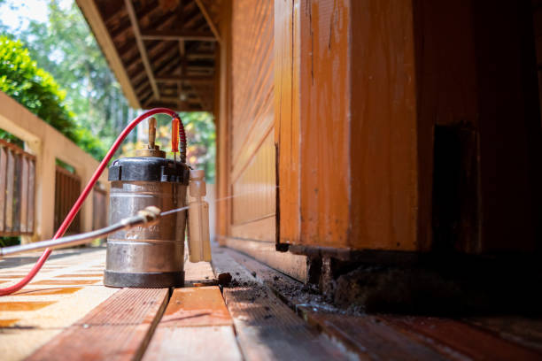 Best Best Pest Control Companies  in Grayling, MI