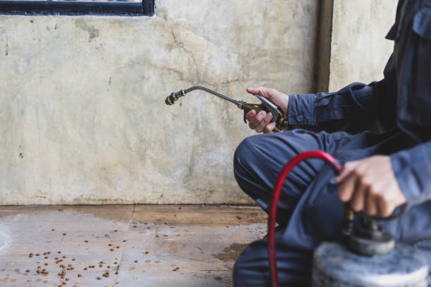 Professional Pest Control in Grayling, MI