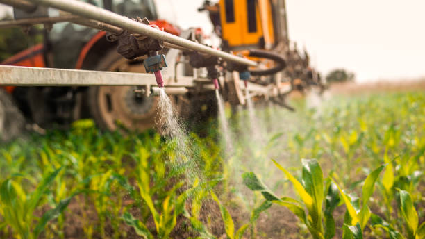 Best Pest Prevention Services  in Grayling, MI